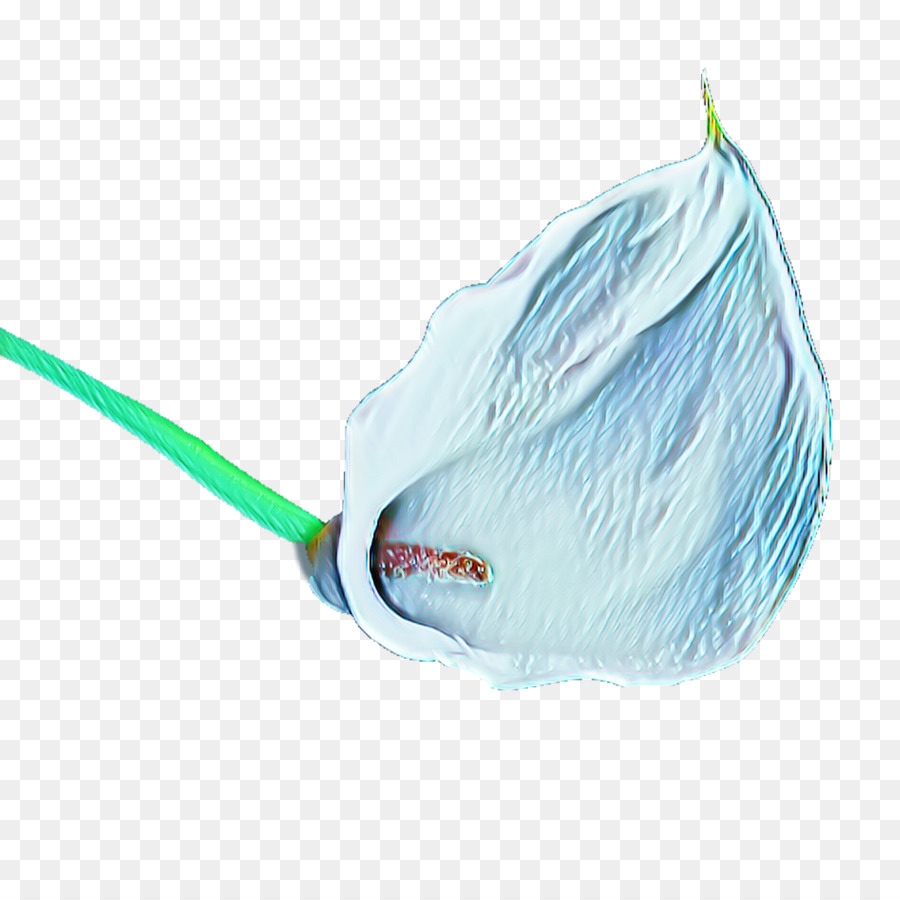 El Plastico，Turquesa PNG