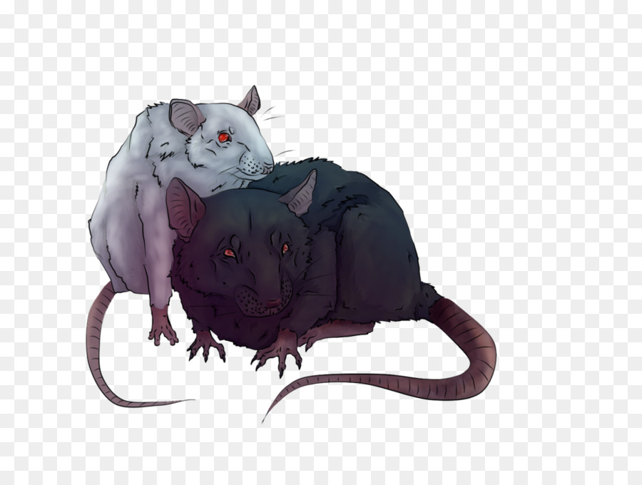 Ratas，Roedores PNG