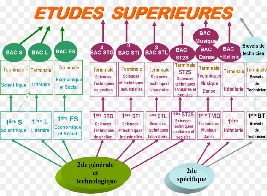 El Segundo，Orientación Profesional PNG