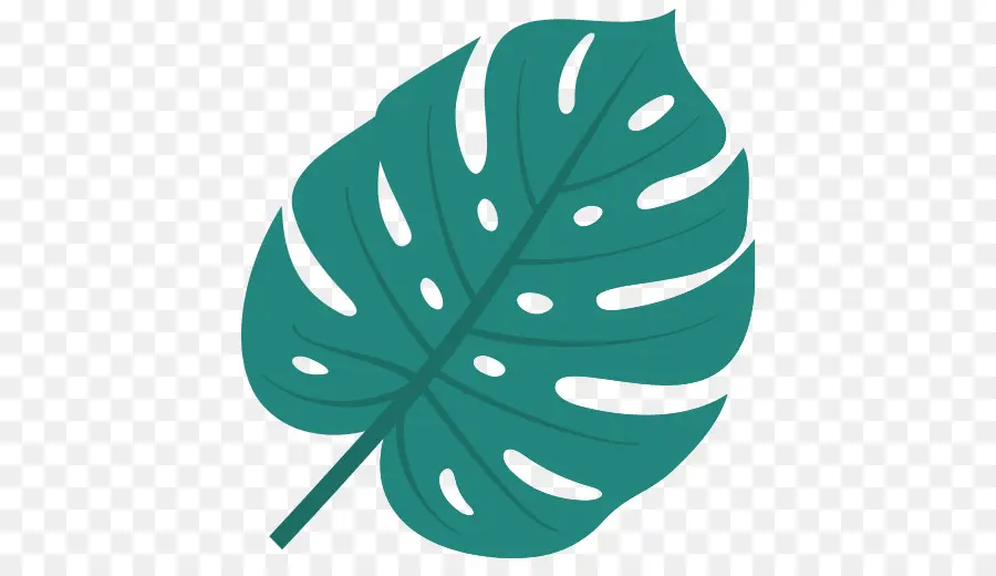 Hoja De Monstera，Planta PNG