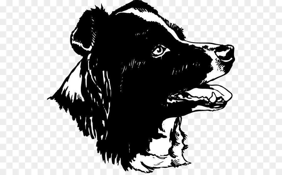 Border Collie，Collie áspero PNG