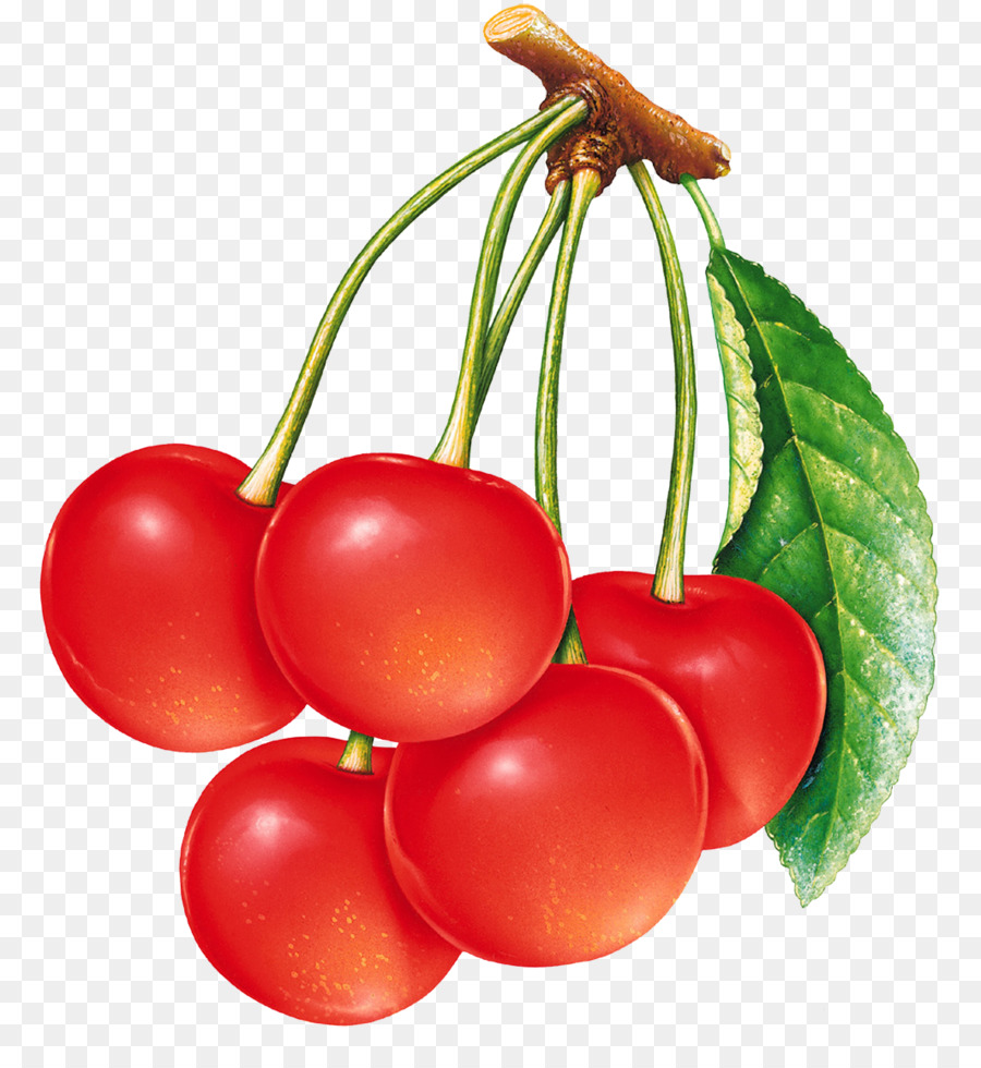 Verdura，Fruta PNG