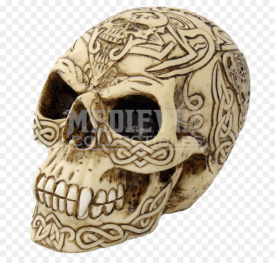 Cráneo，Calavera PNG