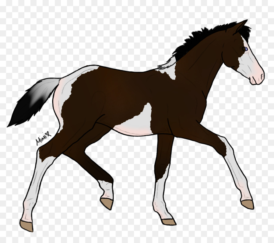 Caballo，Equino PNG