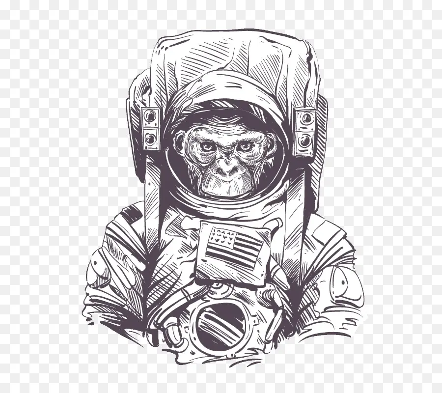 Mono Astronauta，Espacio PNG