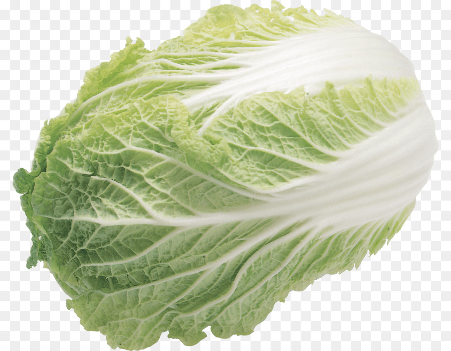 Col China，Lechuga De Napa PNG