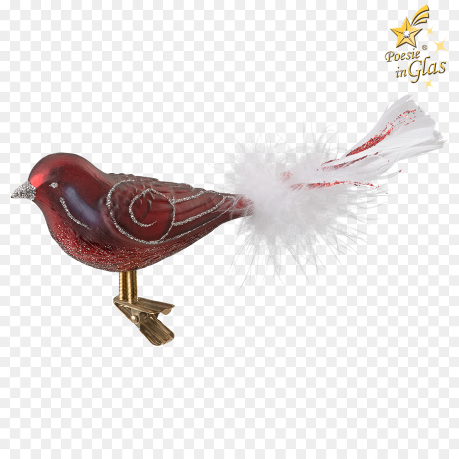 Pluma，Pico PNG