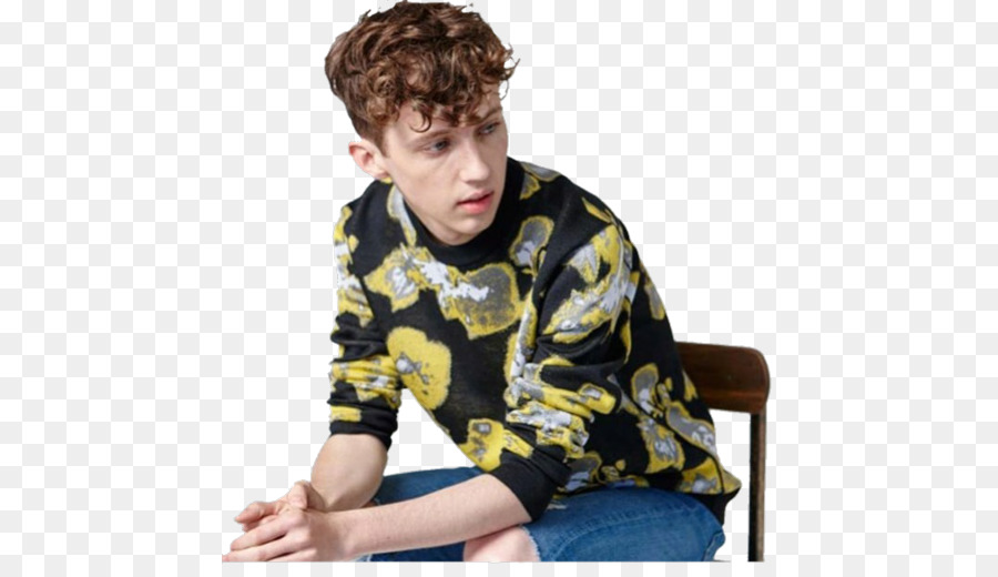 Troye，La Fotografía PNG