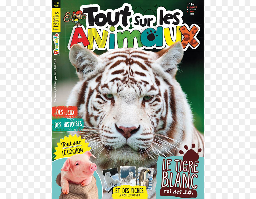 Revista，Tigre Blanco PNG