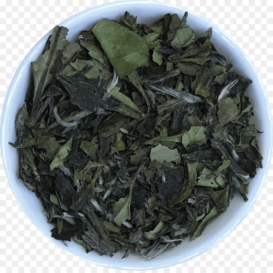 Gyokuro，Té Nilgiri PNG