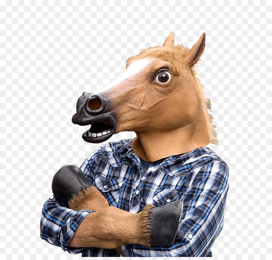 Máscara De Caballo，Caballo PNG