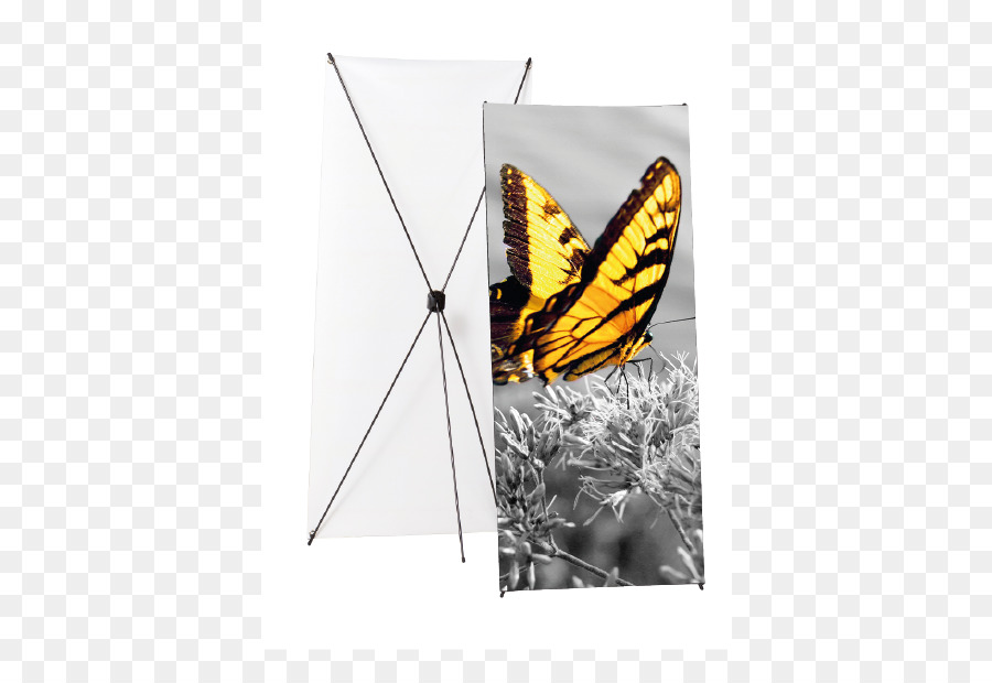 Mariposa Monarca，Banner PNG