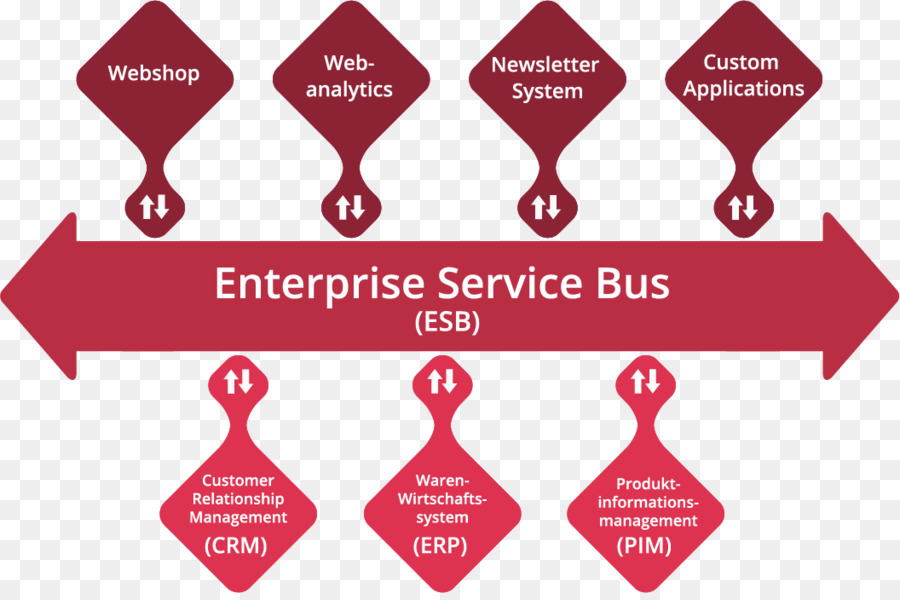 Bus De Servicios Empresariales，Integración De Sistema PNG