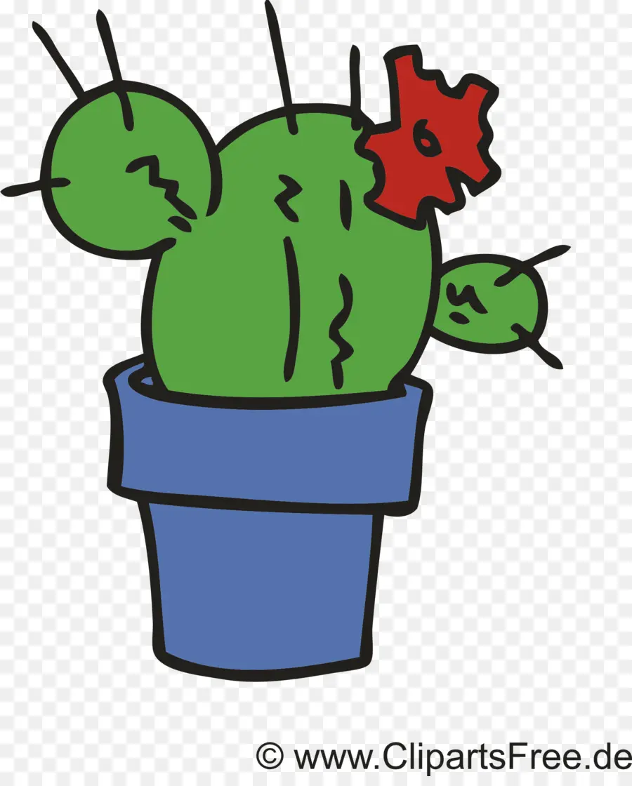 Cactus，Dar Sonarra PNG