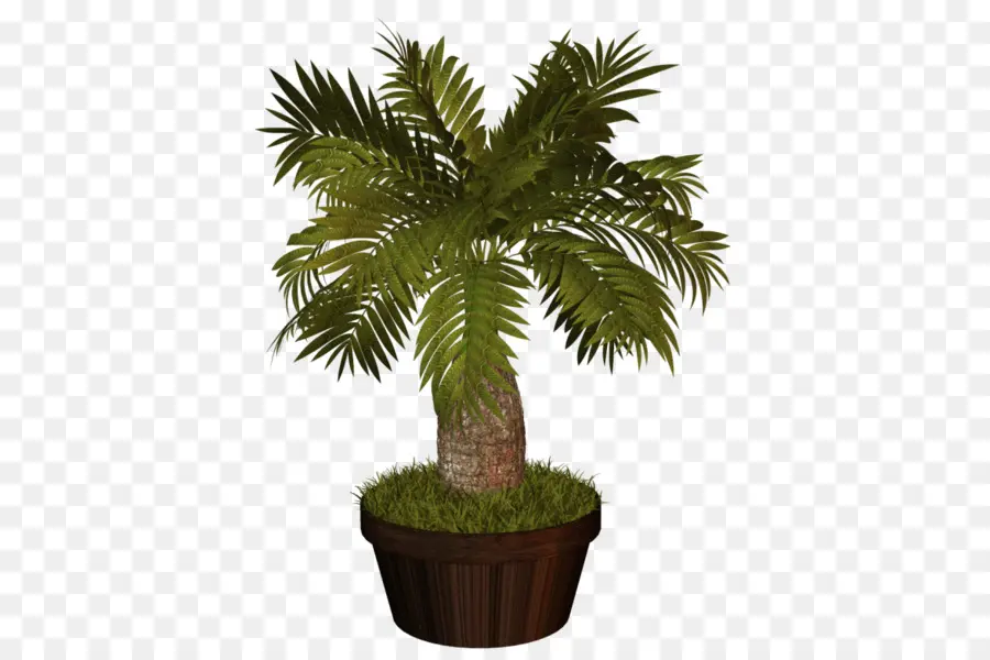 Planta En Maceta，Verdor PNG