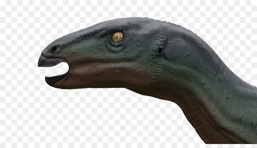 Camptosaurus，Dinosaurio PNG