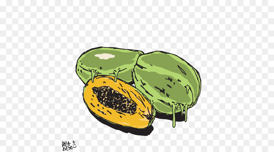 Calabaza De Invierno，Melón PNG