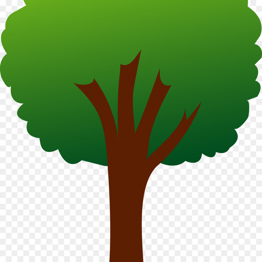 árbol Verde，Naturaleza PNG