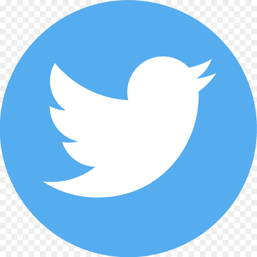 Logotipo De Twitter，Pájaro PNG