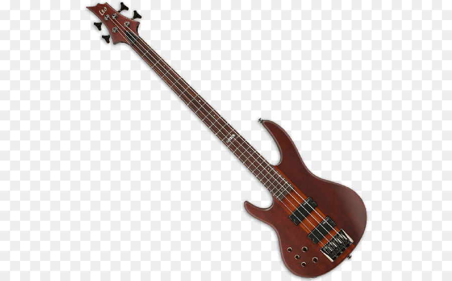 Bajo，Guitarra PNG