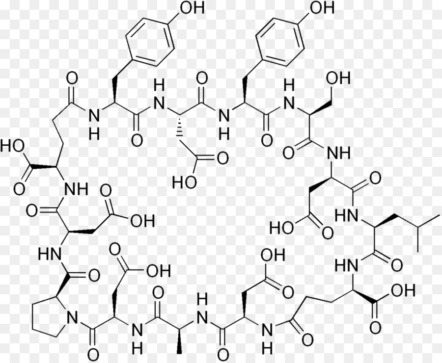 Bacilo De Heno，Bacterias PNG