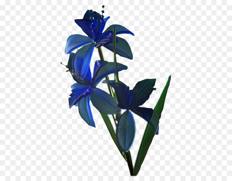 Flor，Cortar Flores PNG