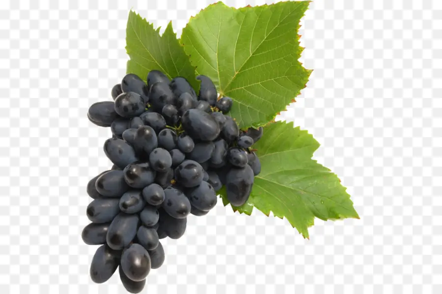 Vine De Uva Común，Vino PNG