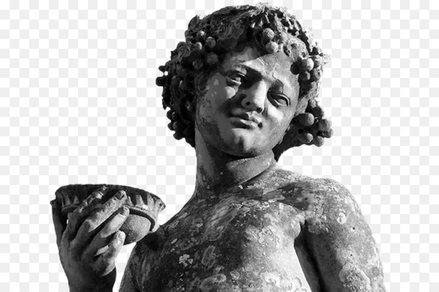 El Vino En La Antigua Roma Bebían Los Romanos，Vino PNG