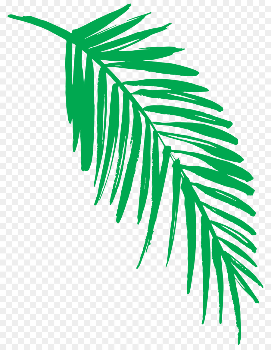 Hoja，Verde PNG