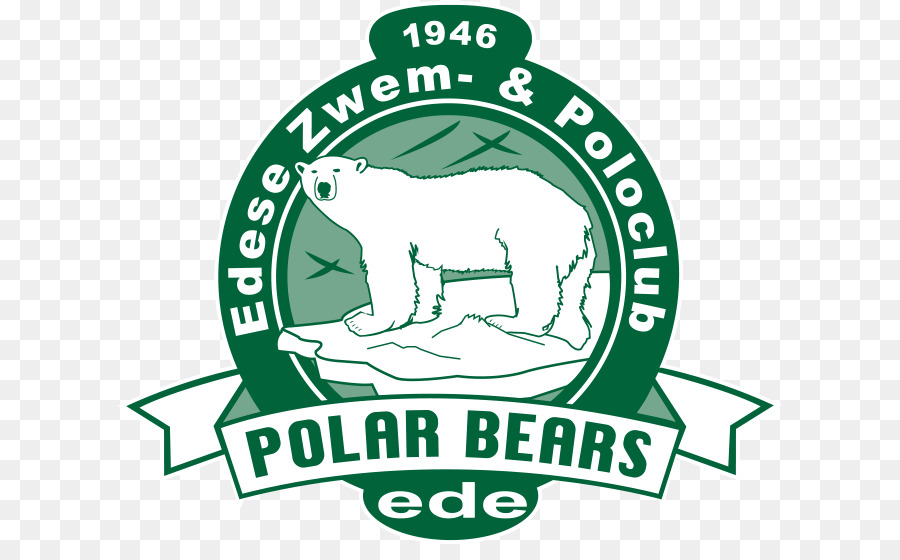 Zvl Leiden，Oso Polar PNG