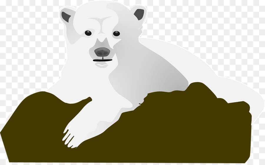 Oso Polar，Oso PNG