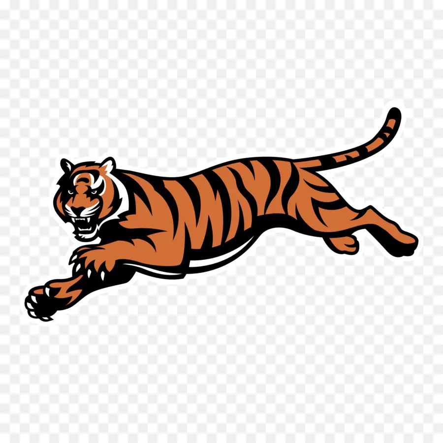 Bengals De Cincinnati，Nfl PNG