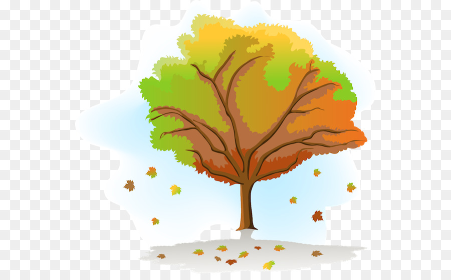 Árbol，Hojas PNG