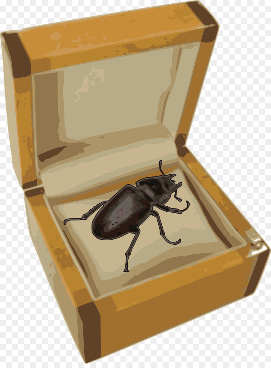 Escarabajo，Filosofía PNG