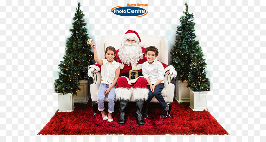 árbol De Navidad，Harvey Norman PNG