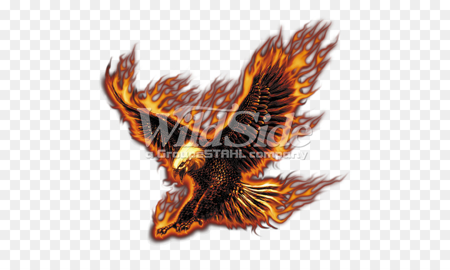 águila，Camiseta PNG