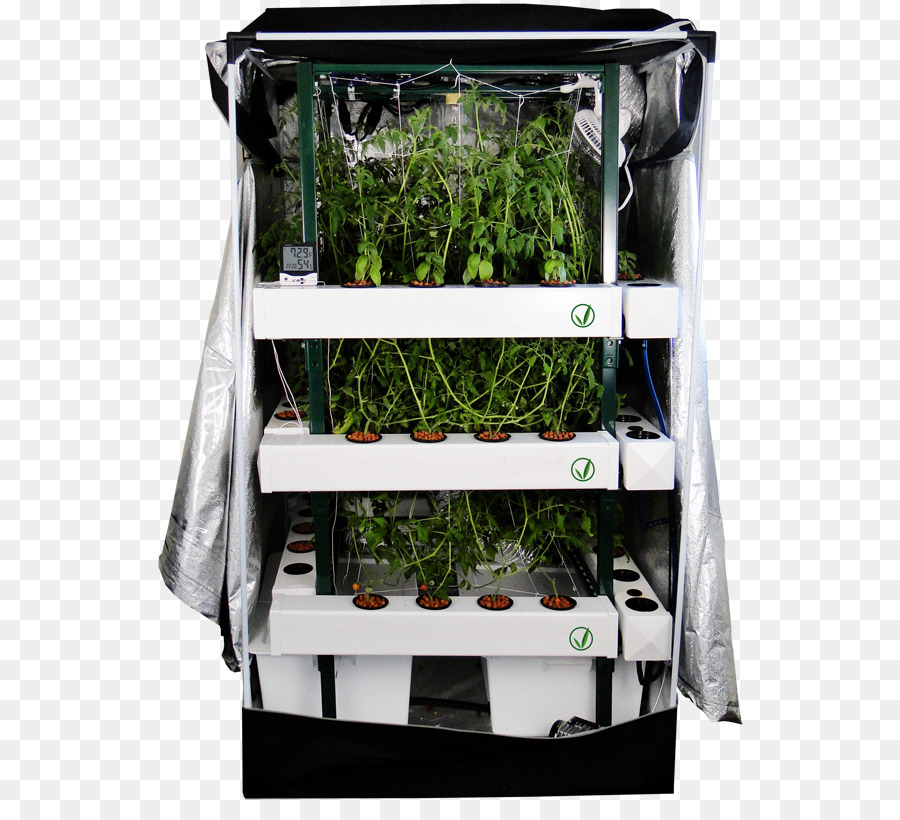 Caja De Cultivo，Sala De Cultivo PNG