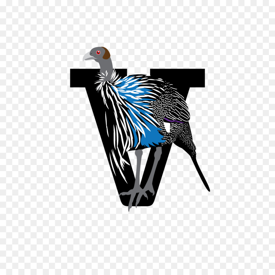 Pluma，Crónica De Pájaros PNG