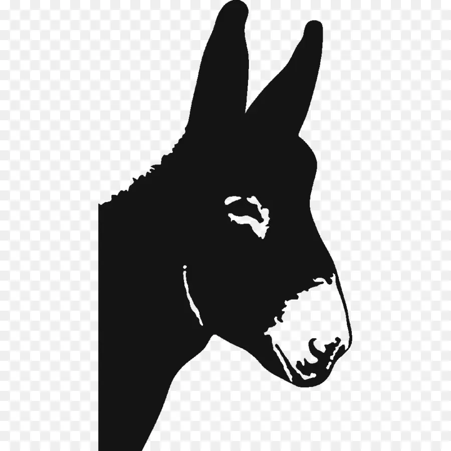 Silueta De Burro，Burro PNG