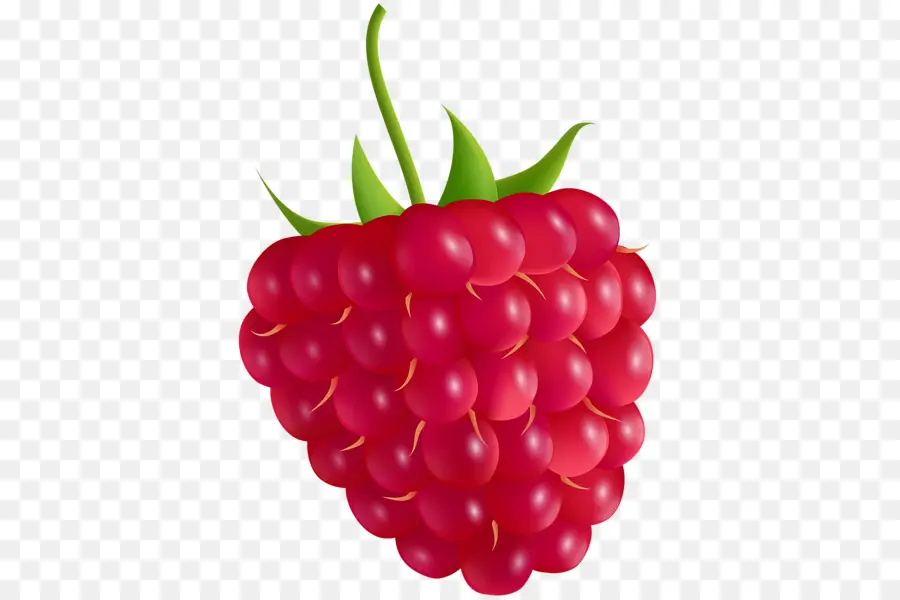 Frambuesa，La Fruta PNG