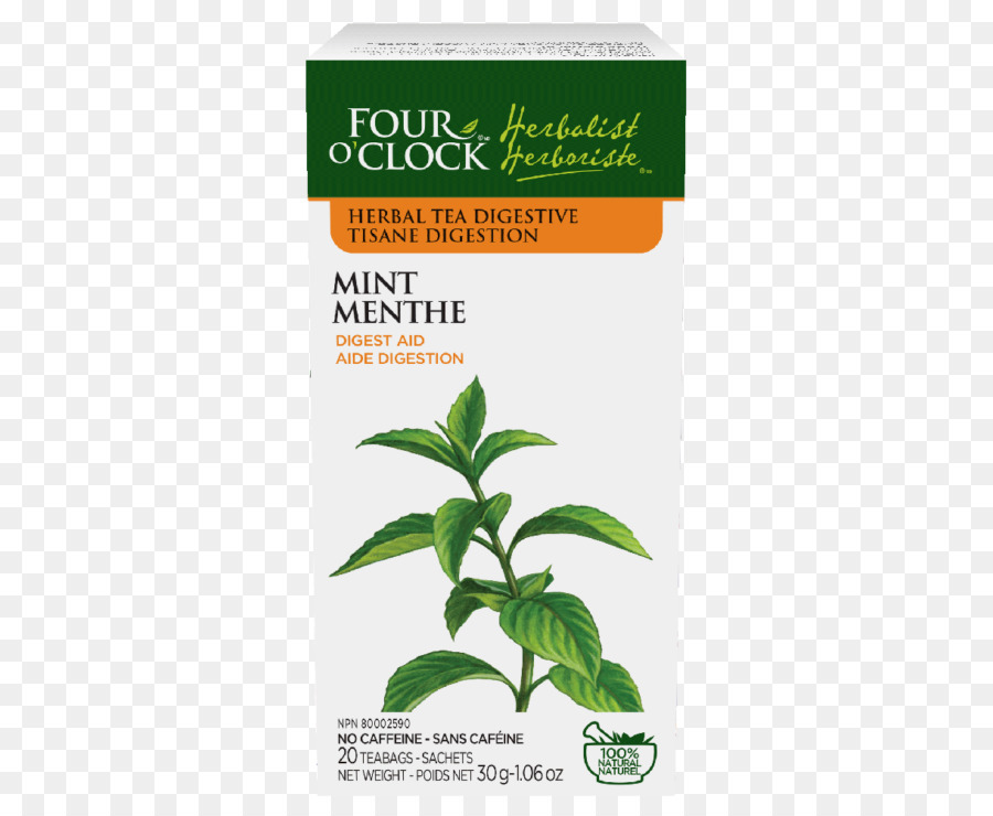 Té，Té Verde PNG