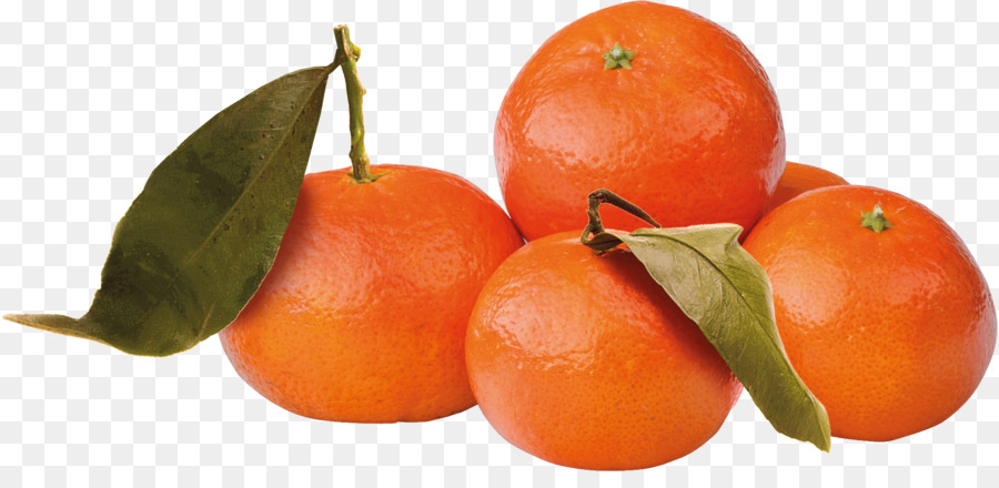 Alimento，Mandarina PNG