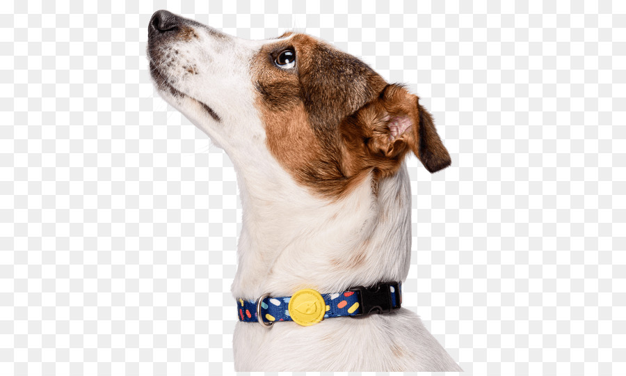 Perro，Mascota PNG