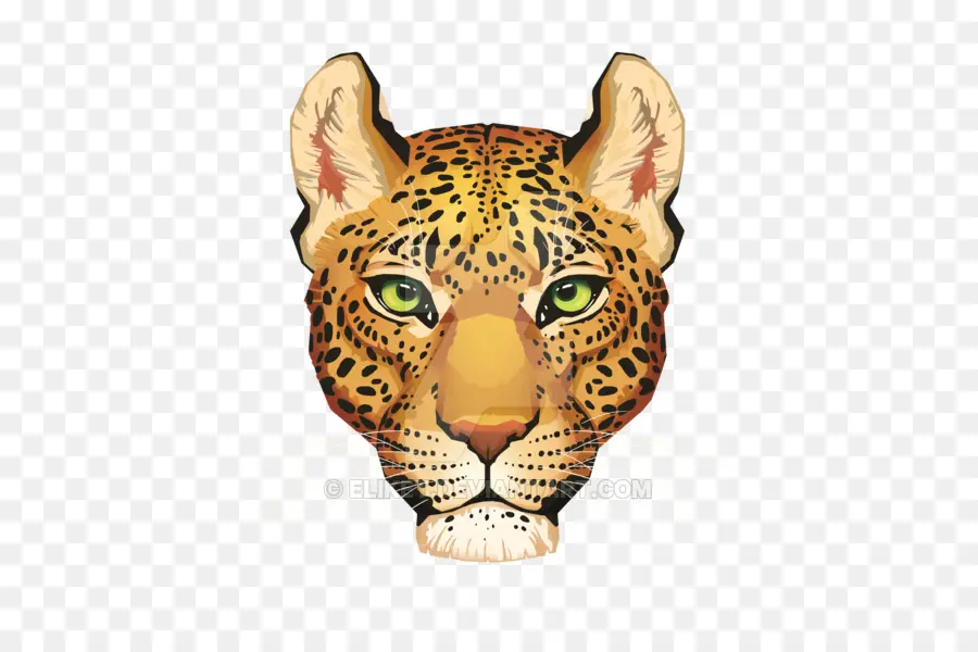 Jaguar，Guepardo PNG