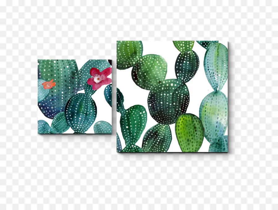 Cactus，Verde PNG