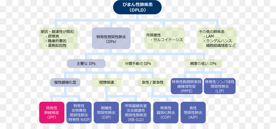 Diagrama De Flujo，Dpld PNG