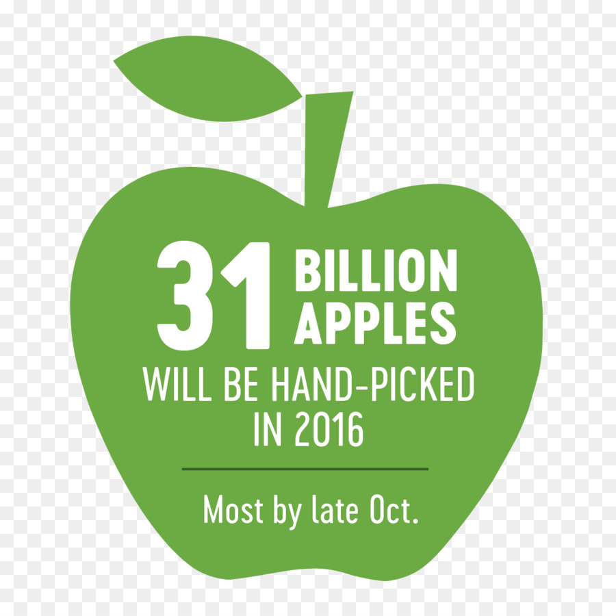 Infografía De Manzana，Estadística PNG