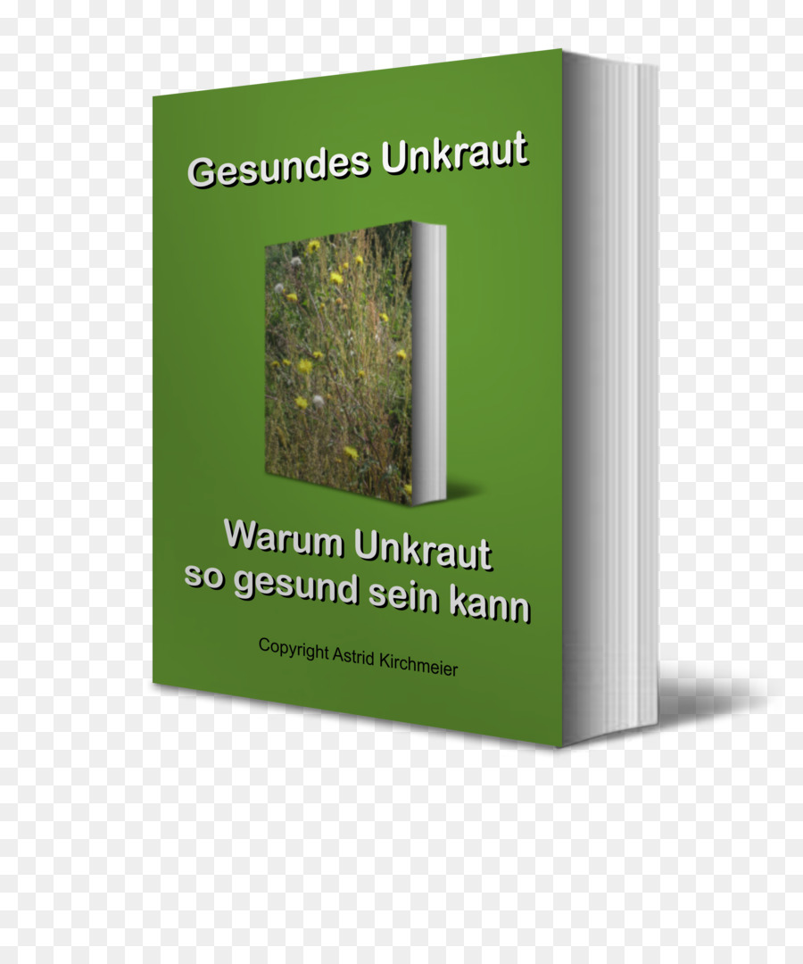 Libro，Libro Electronico PNG