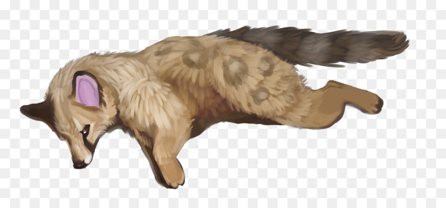 Perro，Gato PNG