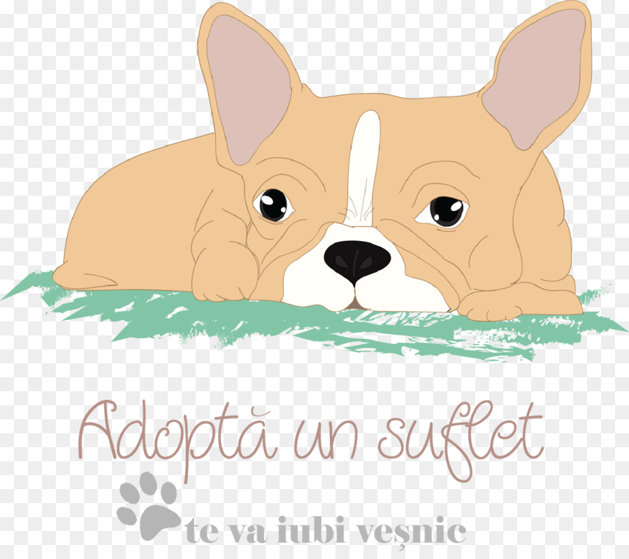 Cachorro，Perro PNG